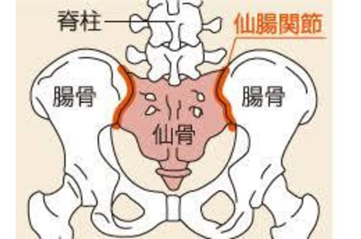 仙腸関節