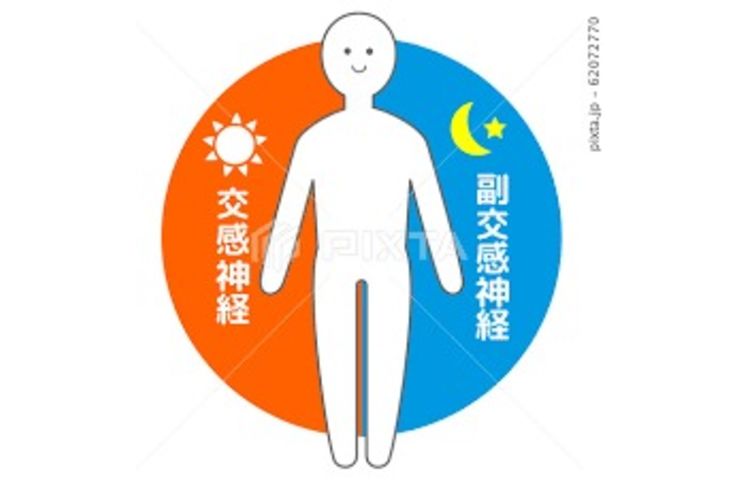 自律神経