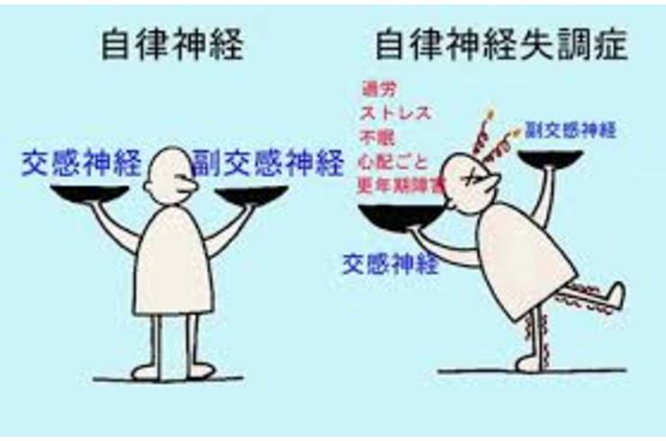自律神経お2