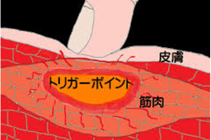トリ