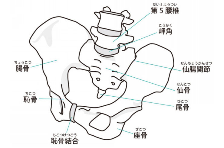 片側