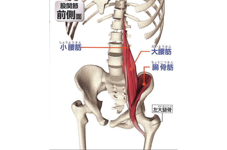 大腰筋