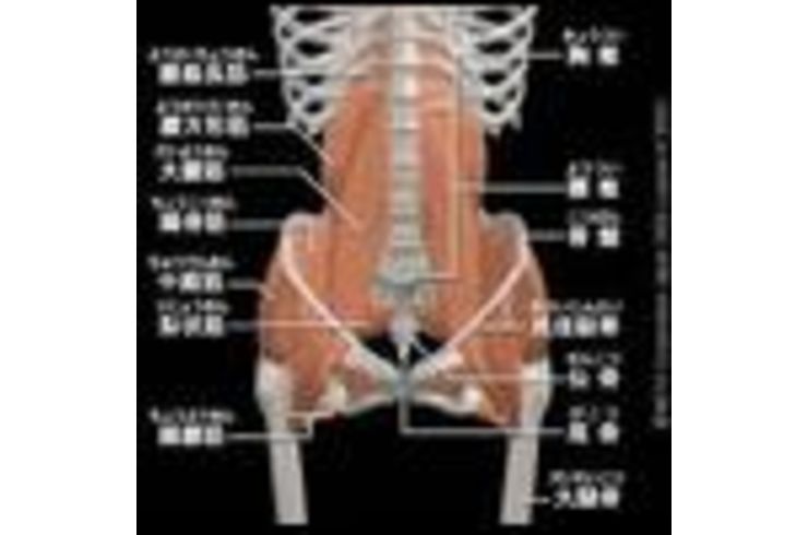 腸腰筋